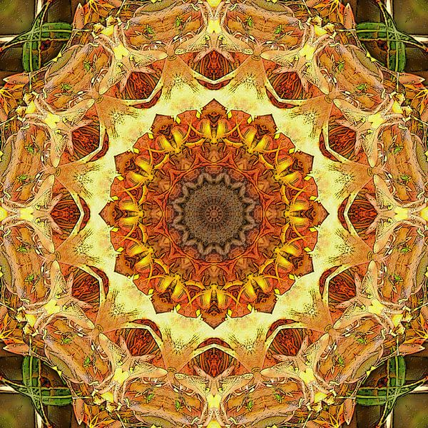 Queen Azalea van Frans Blok - foto's, kunst en andere wanddecoratie