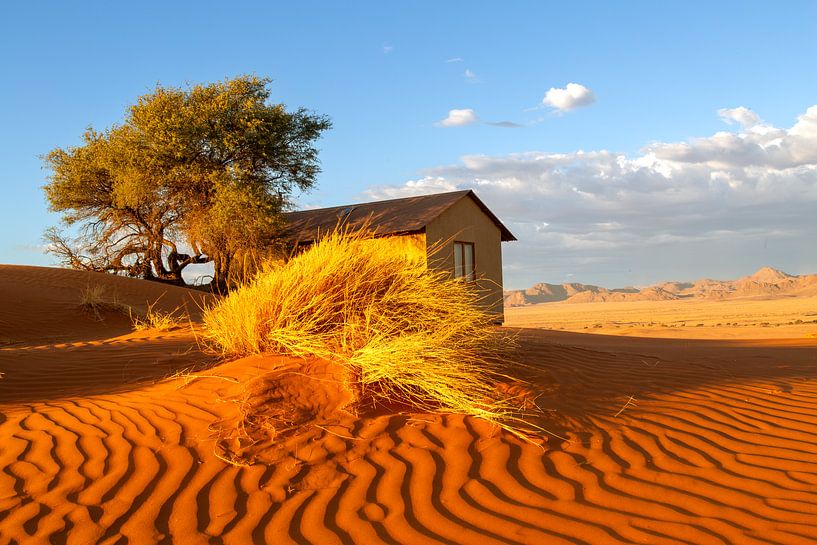 Sunset at the Dune Star Lodge by Fototante