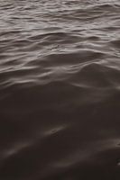 Vagues sur la mer en noir et blanc