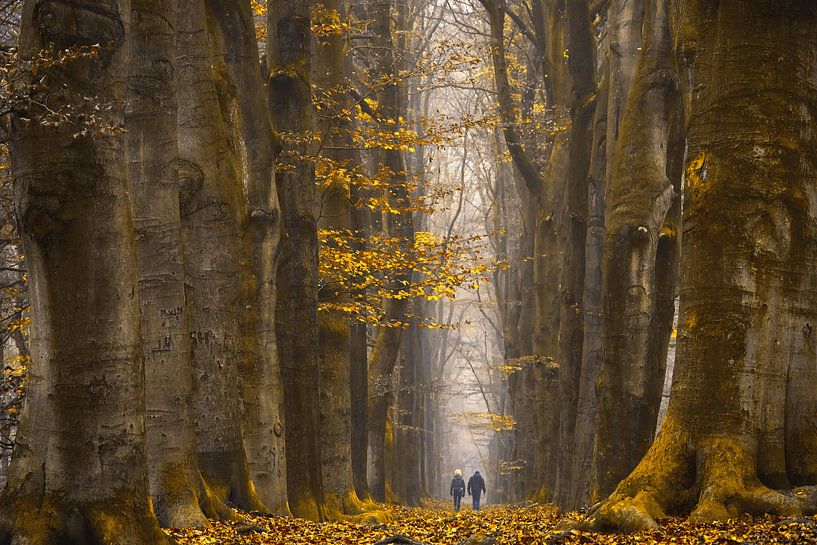 Unter Riesen von Lars van de Goor