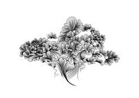 Poster femme à la ligne fine - noir et blanc - rêve - portrait