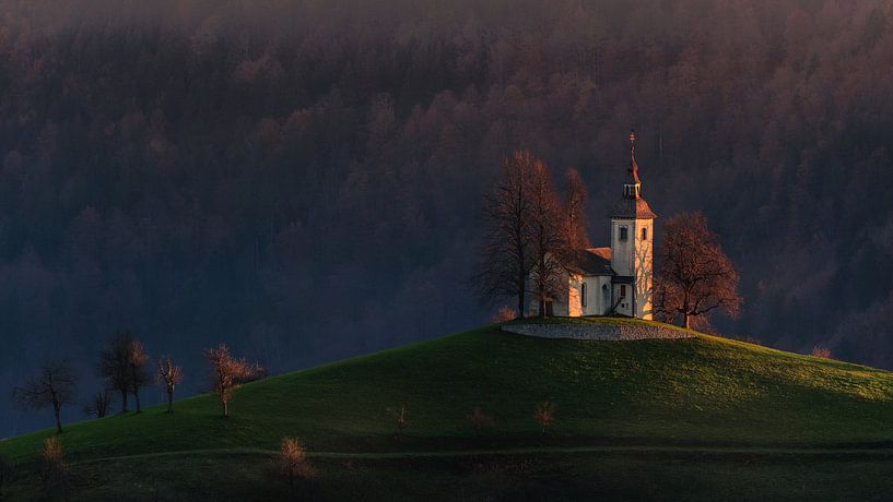 Good morning St.Thomas by Bor 