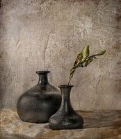 Vases noirs