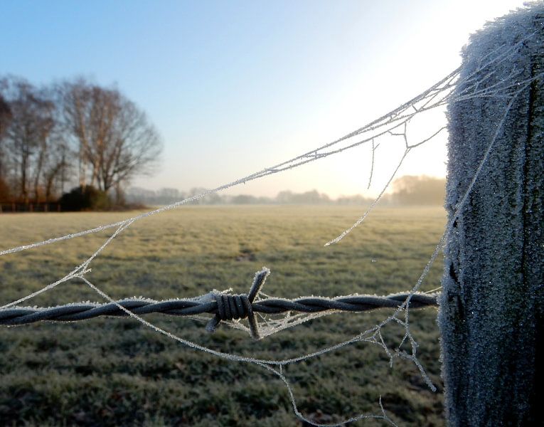 Winter landscape by Joke te Grotenhuis