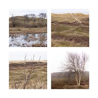 Four-part Texel, Dunes near the Muy