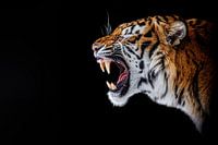 Tigre