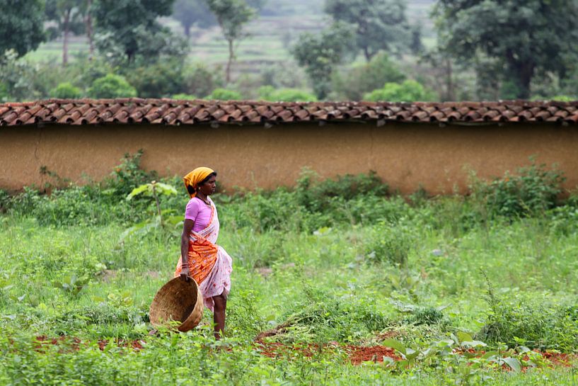 Indian woman by Cora Unk
