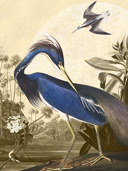 Louisina heron by Jadzia Klimkiewicz