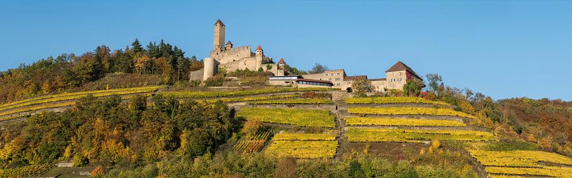 Burg Hornberg im Herbst von Uwe Ulrich Grün