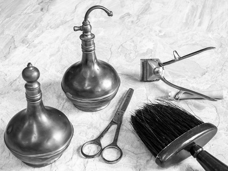 Outils dans la coiffure Vintage par Animaflora PicsStock