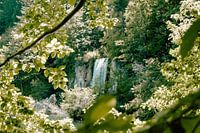 Olivgrünes Landschaftsbild