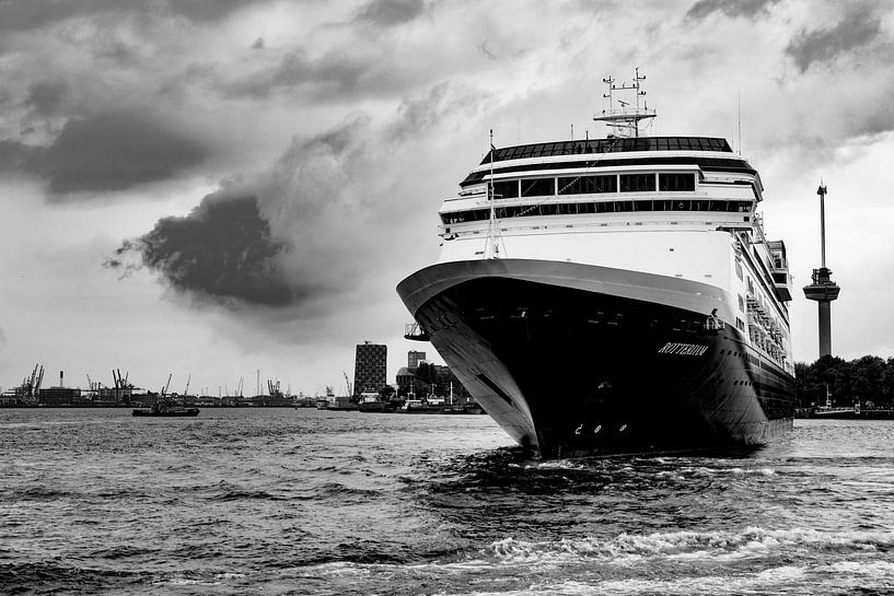 Der Rotterdamer von Ton de Koning