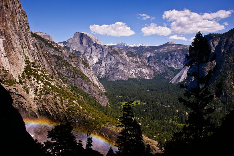 Yosemite National Park by Dennis Van Den Elzen