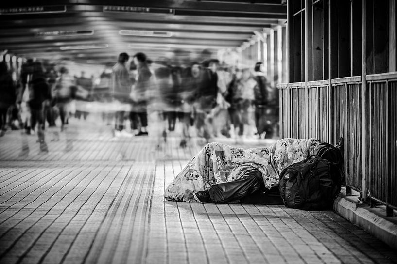 Counting Sheep van Cho Tang