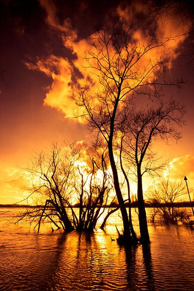 Feuer und Flamme von Joop Snijder