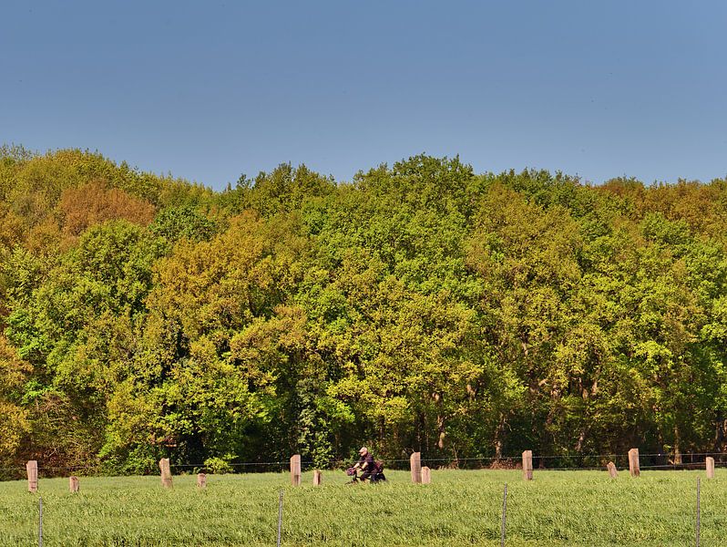 Thistles Spring by Edgar Schermaul
