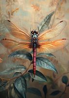 Dragonfly