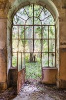 Fenêtre de jardin envahie par la végétation