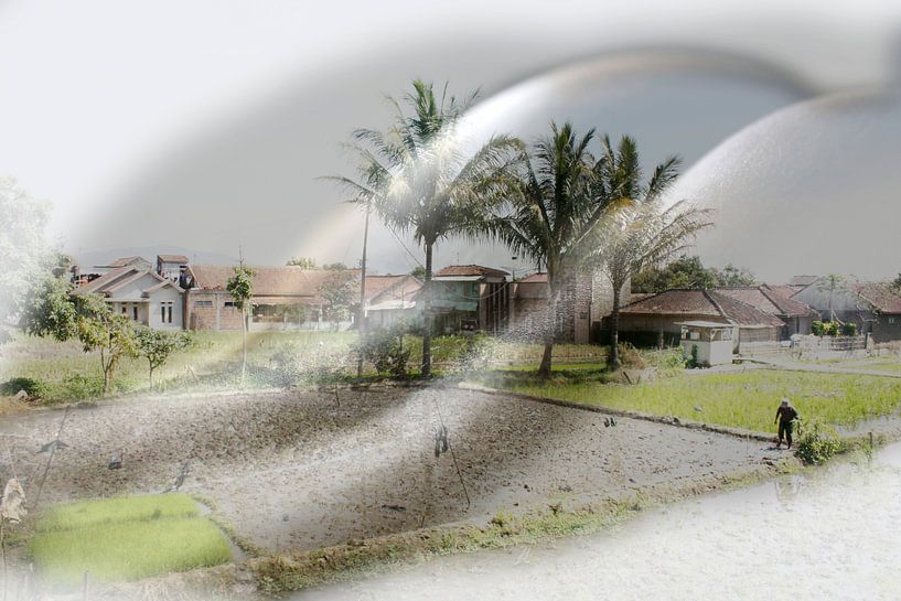 Bare buttocks in Indonesian Landscape by Cor Heijnen