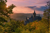 Schloss Wernigerode, Harz, Sachsen-Anhalt, Deutschland