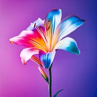 portrait d'une fleur de lys