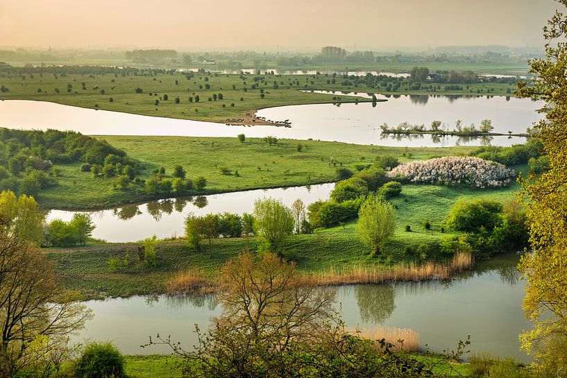 Blauwe Kamer Nature Reserve by Frans Lemmens