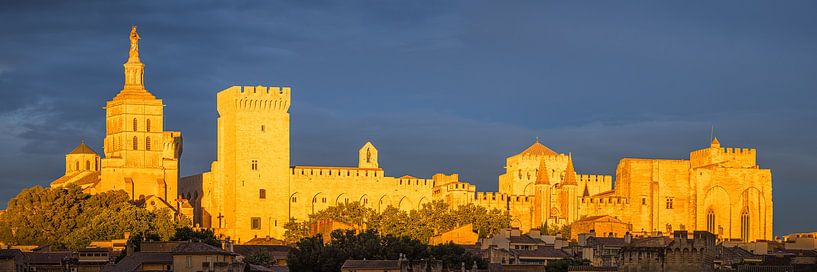 Panorama d'Avignon, France par Henk Meijer Photography