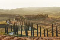 Beautiful Tuscan landscape with the famous farmhouse and country road surrounded by cypresses in the