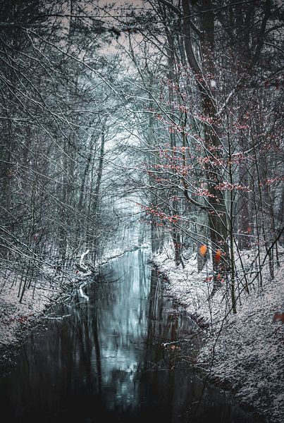 a little bit blue van Evelien Scholten