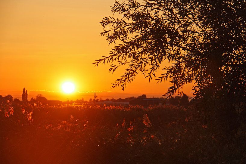Zonsondergang von Joyce Loffeld