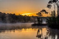ochtend in oisterwijk