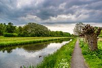 Willowlaantje entlang des Grabens