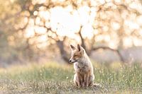 In der Sonne Platz nehmen