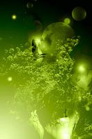 SAFE HOUSE: THE GREENERY