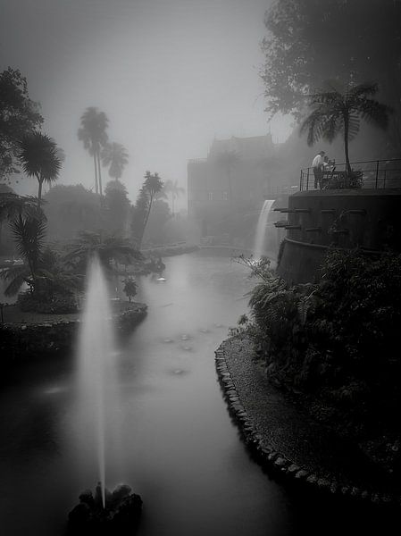 Jardin tropical Monte Palace par Dirk Rüter