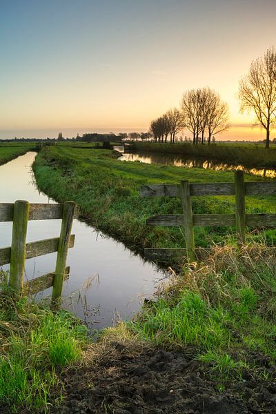 Zonsopkomst De Donk van Jan Koppelaar Fotografie