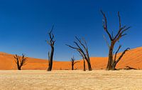 Sossusvlei Namibia (2)