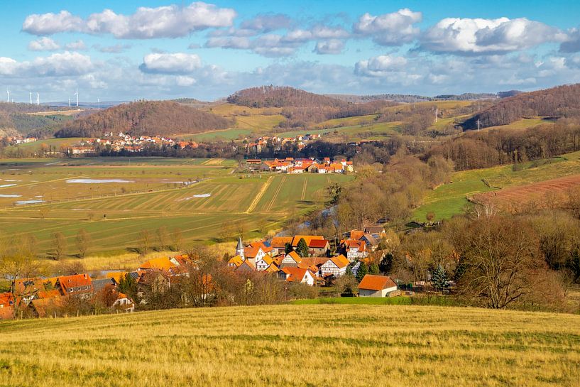Promenade printanière autour des ruines du château de Brandenburg, dans la belle ville de Bonn. par Oliver Hlavaty