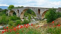Steinerne römische Bogenbrücke Pont Julien über den Fluss Calavon bei Apt (Frankreich) mit einem Moh