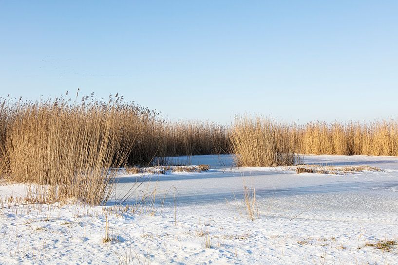 See hinter dem Deich von Johan Zwarthoed