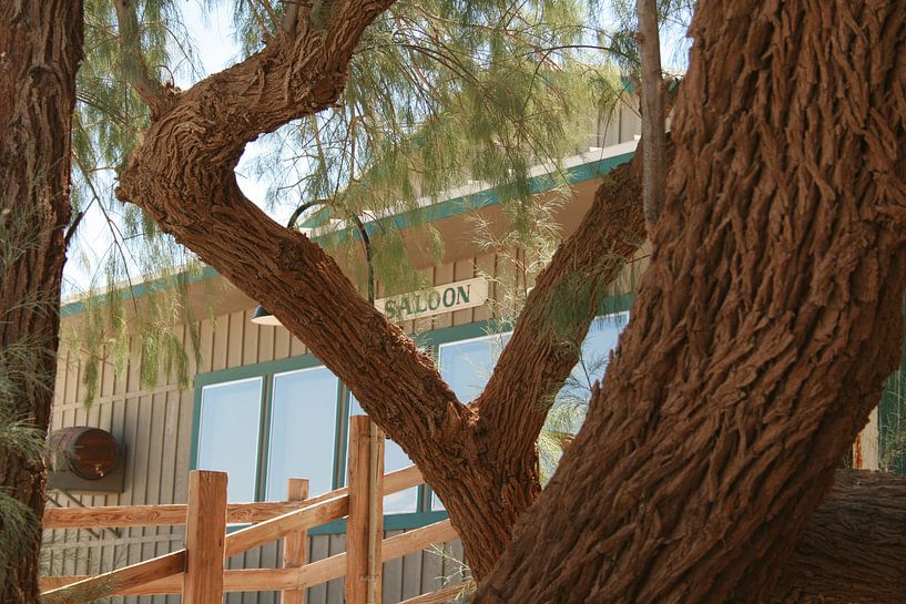 Death Valley Stove pipe wells 4 von Karen Boer-Gijsman