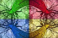 Kaleidoskopischer Zich auf Baum in mehreren Farben