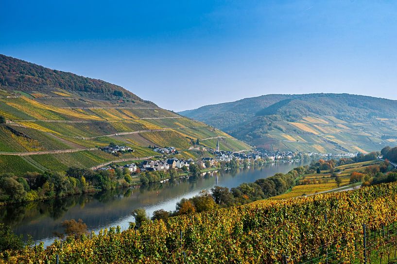Merl on the Moselle in Germany by Jan van Broekhoven