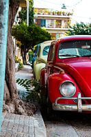 Old ducks cars Citroën