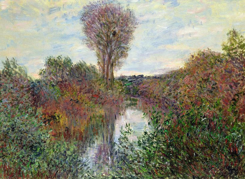 Claude Monet, Kleiner Seitenarm der Seine von finemasterpiece