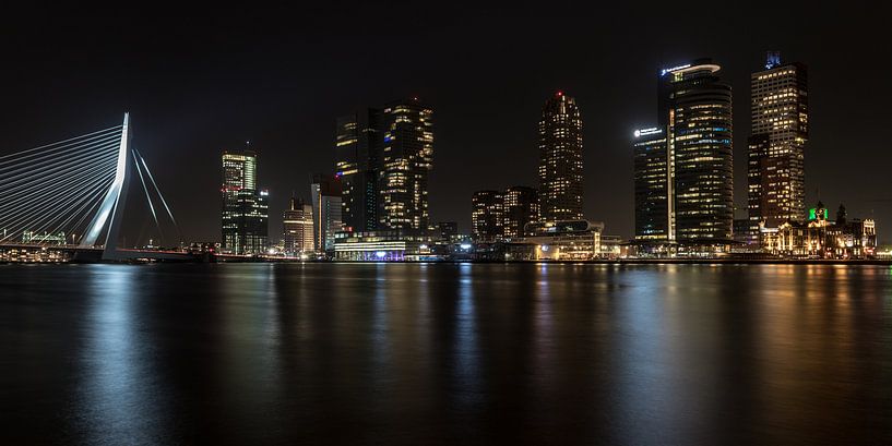 Panorama de Rotterdam par Albert Mendelewski