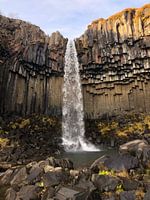 Svartifoss Wasserfall in Island