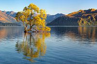 Lake Wanaka bei Sonnenaufgang, Neuseeland