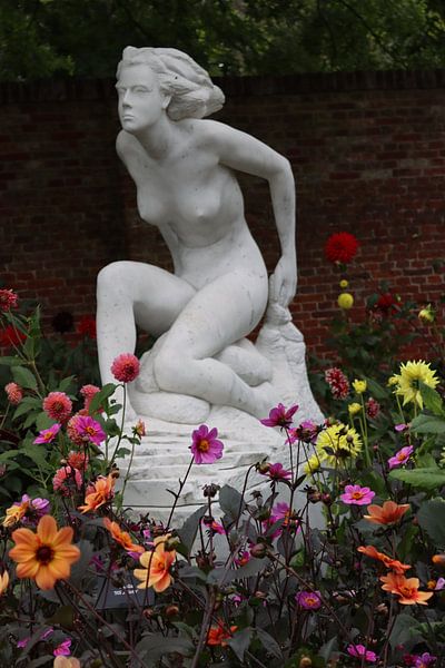 verschiedene Arten und Farben von Dahlien für eine Aktstatue von Arie van Vugt