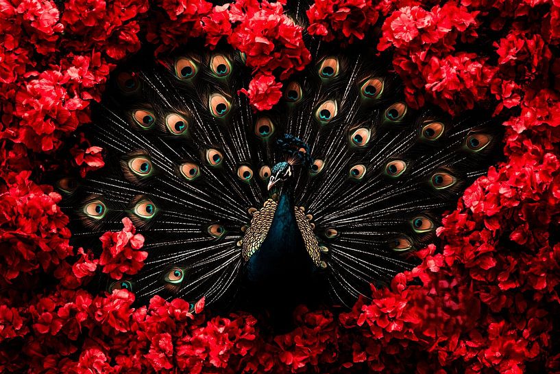 Paon avec des fleurs d'un rouge éclatant par Art & Soul Creations